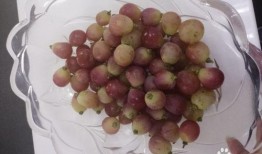 提子网红爆料做美食视频,提子美食视频制作全攻略